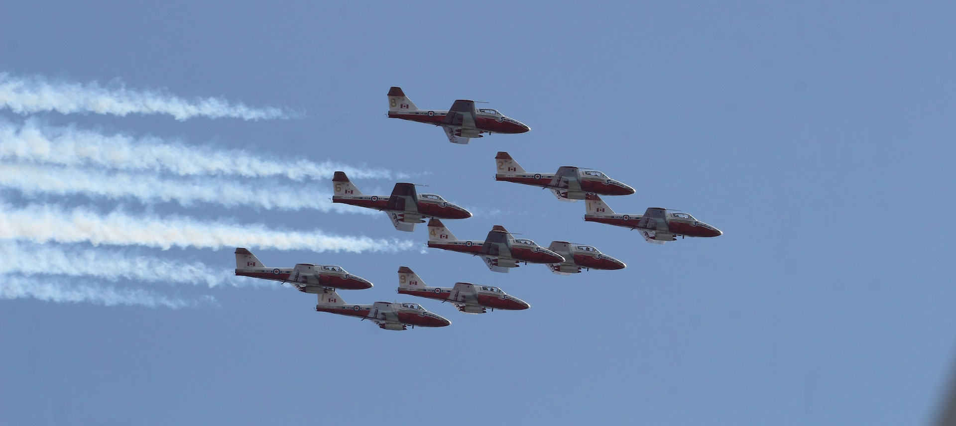 Snowbirds